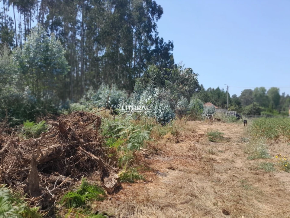 Terreno para Venda em Recardães e Espinhel Foto 10