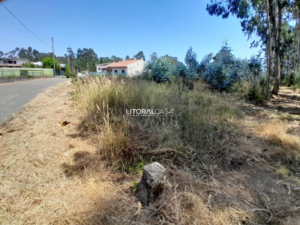 Terreno para Venda em Recardães e Espinhel Foto 6