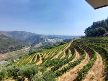 Moradia T3 para Venda em Lamego (Almacave e Sé)