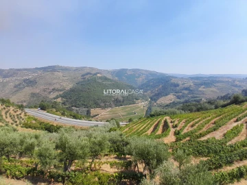 Moradia T3 para Venda em Lamego (Almacave e Sé)