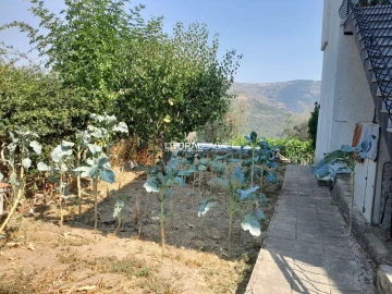 Moradia T3 para Venda em Lamego (Almacave e Sé)