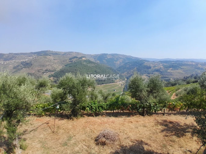 Moradia T3 para Venda em Lamego (Almacave e Sé) Foto 26