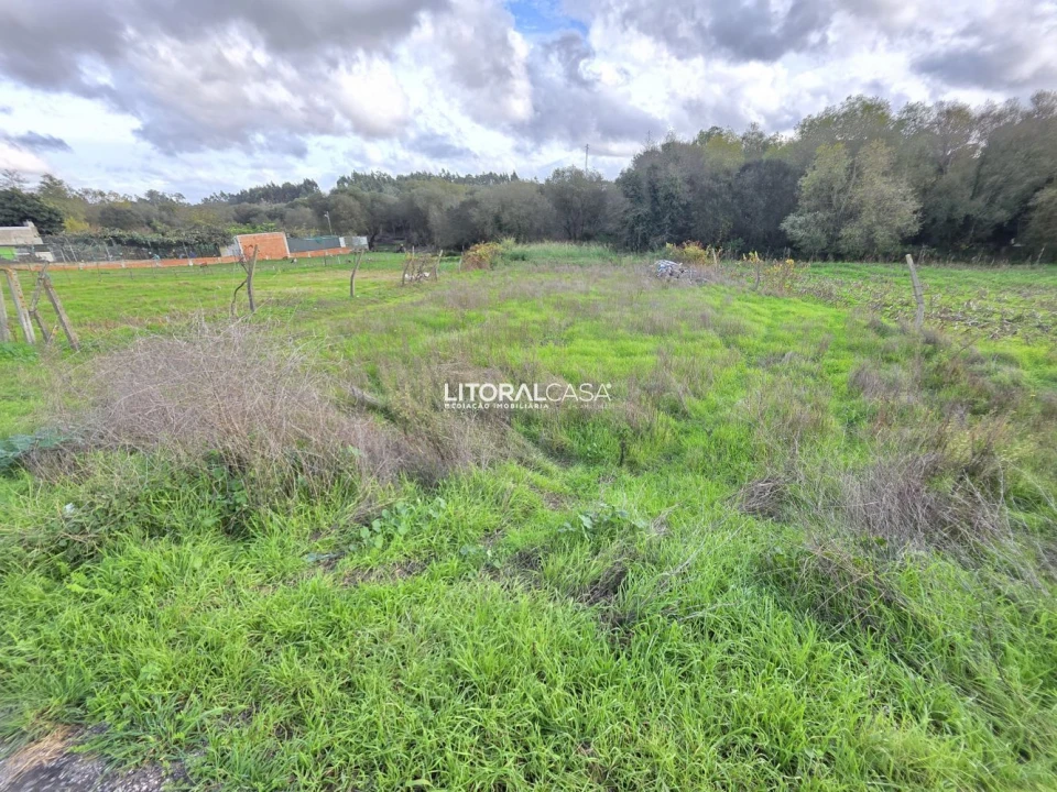 Terreno para Venda em Eixo e Eirol Foto 14