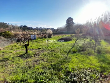 Moradia T5 para Venda em Oiã