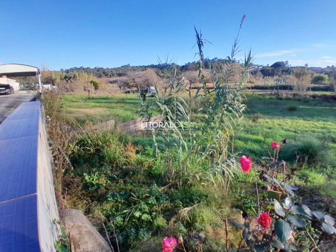 Moradia T5 para Venda em Oiã Foto 40