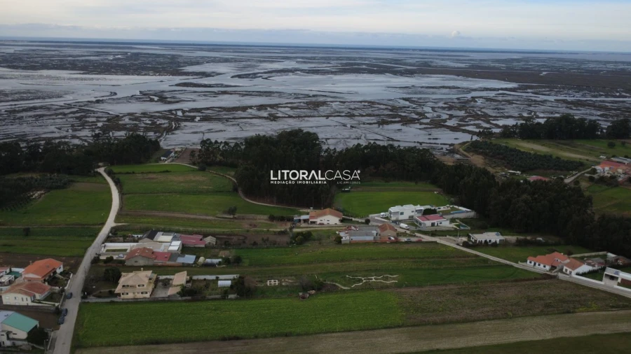 Terreno para Venda em Esgueira