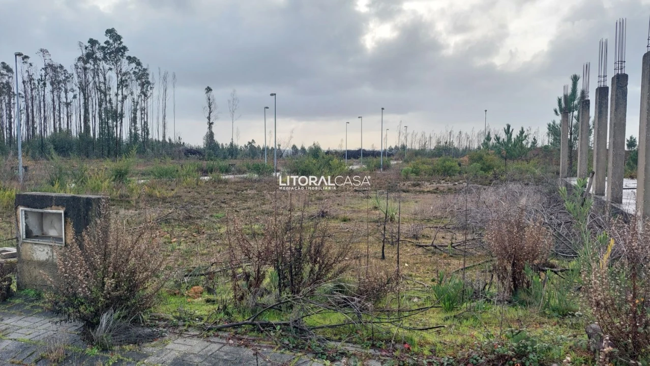 Terreno para Venda em Valongo do Vouga Foto 1