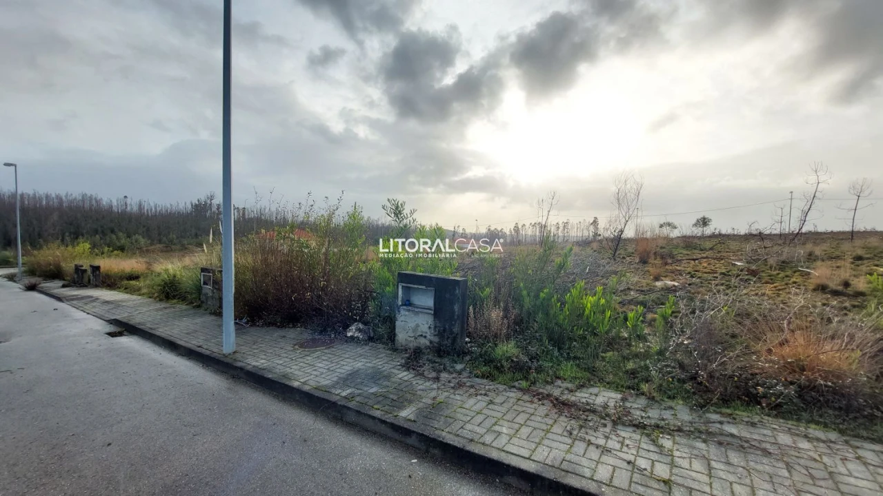 Terreno para Venda em Valongo do Vouga Foto 2