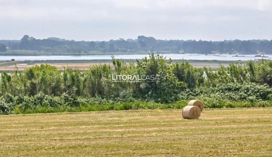 Moradia T4 para Venda em Aradas Foto 18