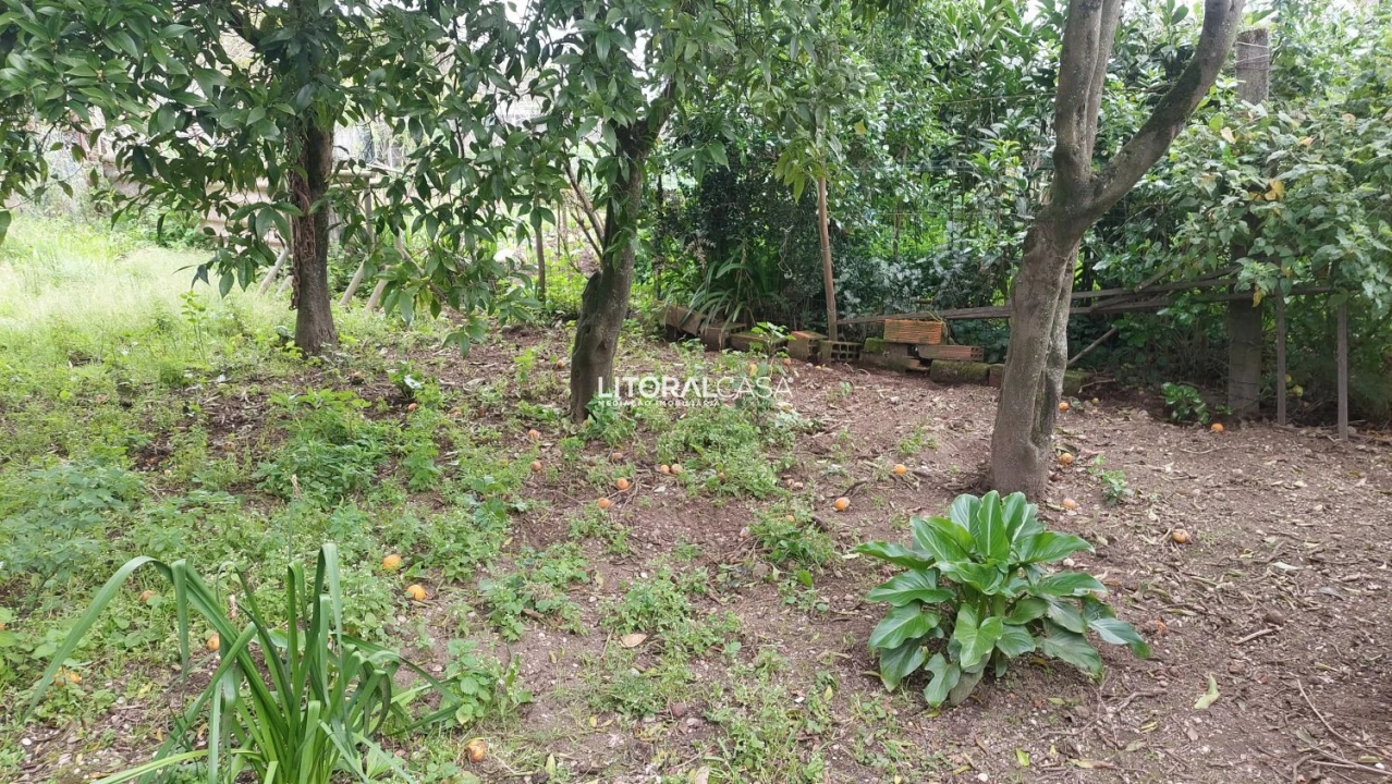 Moradia T2 para Venda em Cacia Foto 13