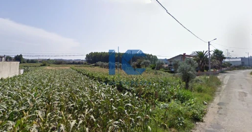 Terreno para Venda em Valongo do Vouga