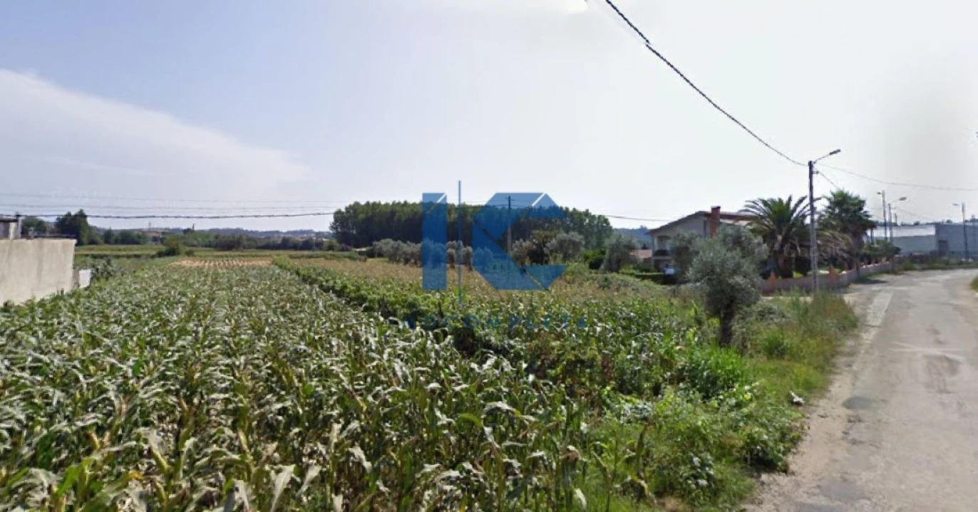 Terreno para Venda em Valongo do Vouga Foto 1