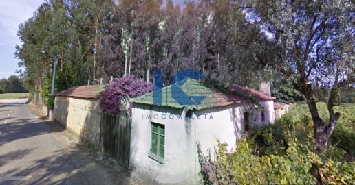 Terreno para Venda em Águeda e Borralha