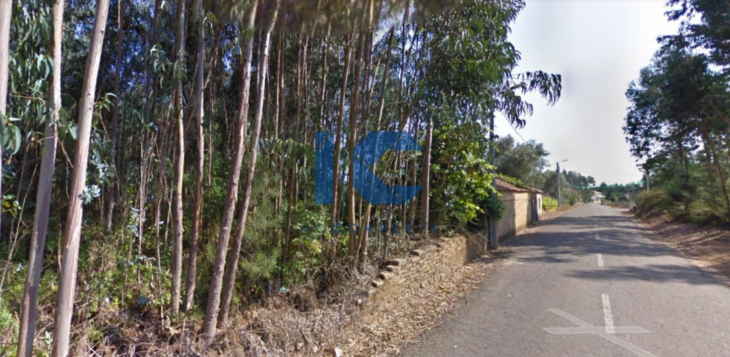 Terreno para Venda em Águeda e Borralha Foto 2