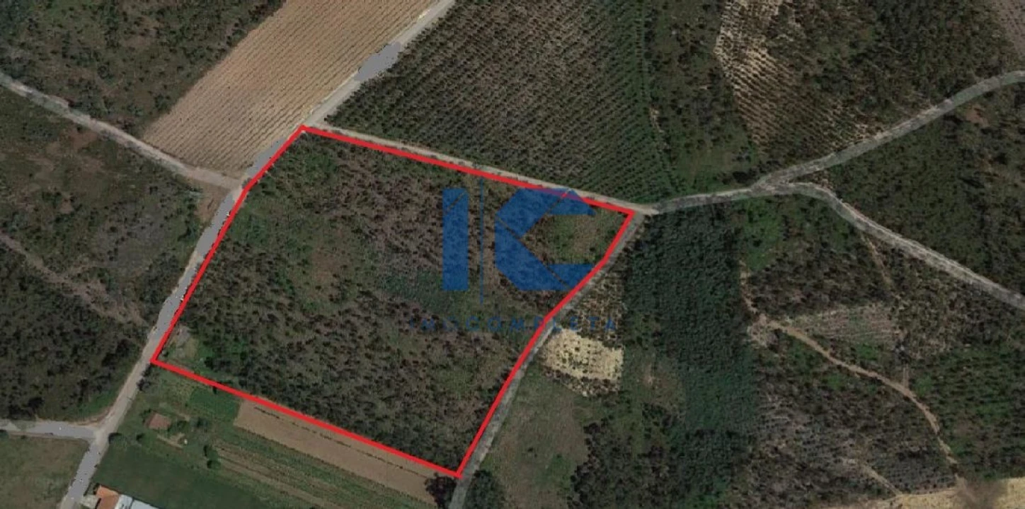 Terreno para Venda em Águeda e Borralha Foto 3