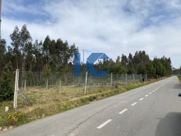 Terreno para Venda em Valongo do Vouga