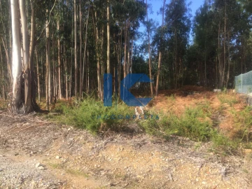 Terreno para Venda em Águeda e Borralha