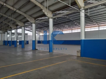 Loja para Arrendamento em Águeda e Borralha