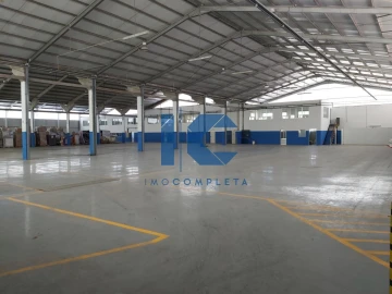 Loja para Arrendamento em Águeda e Borralha