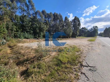 Terreno para Venda em Águeda e Borralha