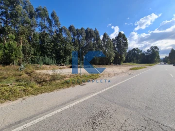 Terreno para Venda em Águeda e Borralha