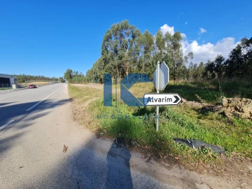 Terreno para Venda em Águeda e Borralha