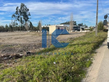 Terreno para Venda em Albergaria-A-Velha e Valmaior