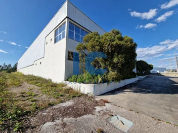 Loja para Arrendamento em Águeda e Borralha