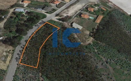 Terreno para Venda em Sever do Vouga