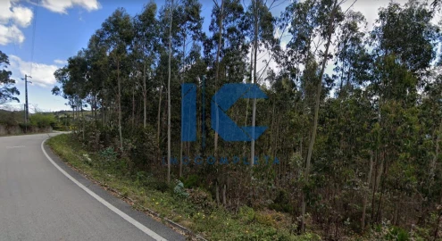 Terreno para Venda em Sever do Vouga