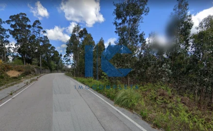 Terreno para Venda em Sever do Vouga