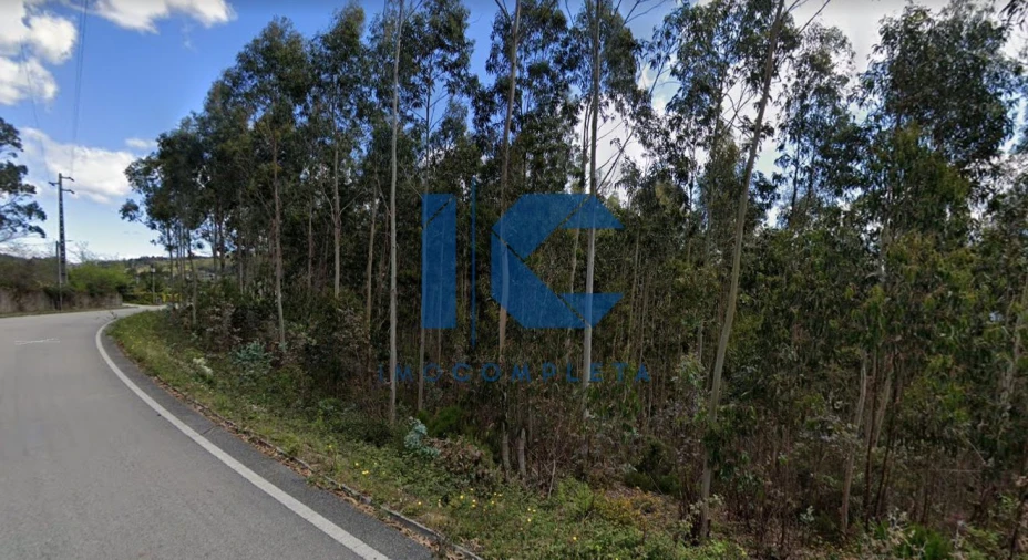 Terreno para Venda em Sever do Vouga Foto 3