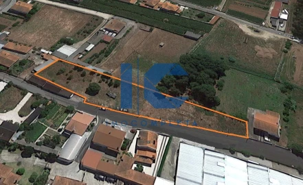 Terreno para Venda em Valongo do Vouga
