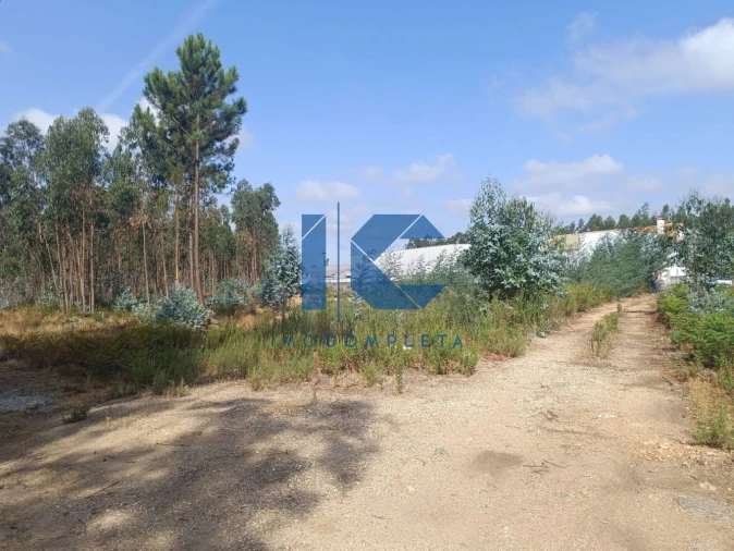 Terreno para Venda em Recardães e Espinhel Foto 2