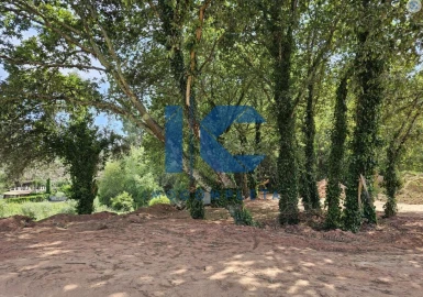 Terreno para Venda em Águeda e Borralha