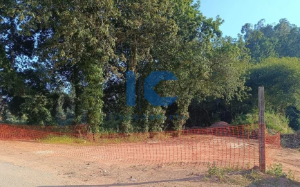 Terreno para Venda em Águeda e Borralha