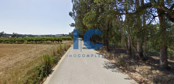 Terreno para Venda em Aguada de Cima