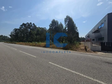 Terreno para Venda em Águeda e Borralha