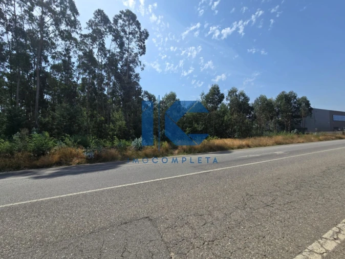 Terreno para Venda em Águeda e Borralha Foto 3