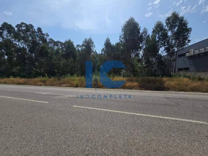 Terreno para Venda em Águeda e Borralha Foto 2