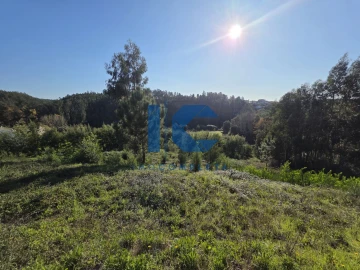 Terreno para Venda em Águeda e Borralha