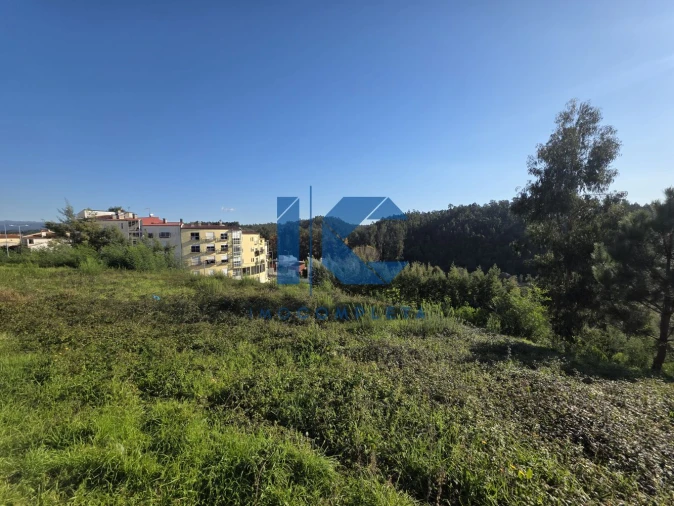 Terreno para Venda em Águeda e Borralha Foto 5