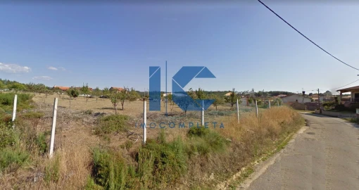 Terreno para Venda em Águeda e Borralha