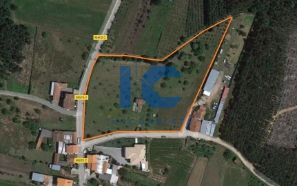 Terreno para Venda em Águeda e Borralha
