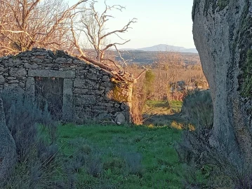 Terreno para Venda em Castanheira
