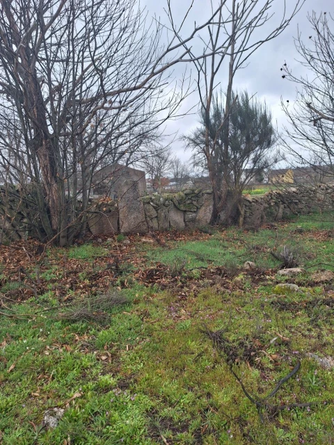 Terreno para Venda em Castanheira