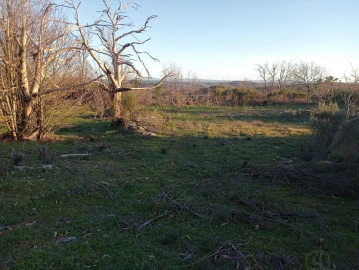 Terreno para Venda em Castanheira