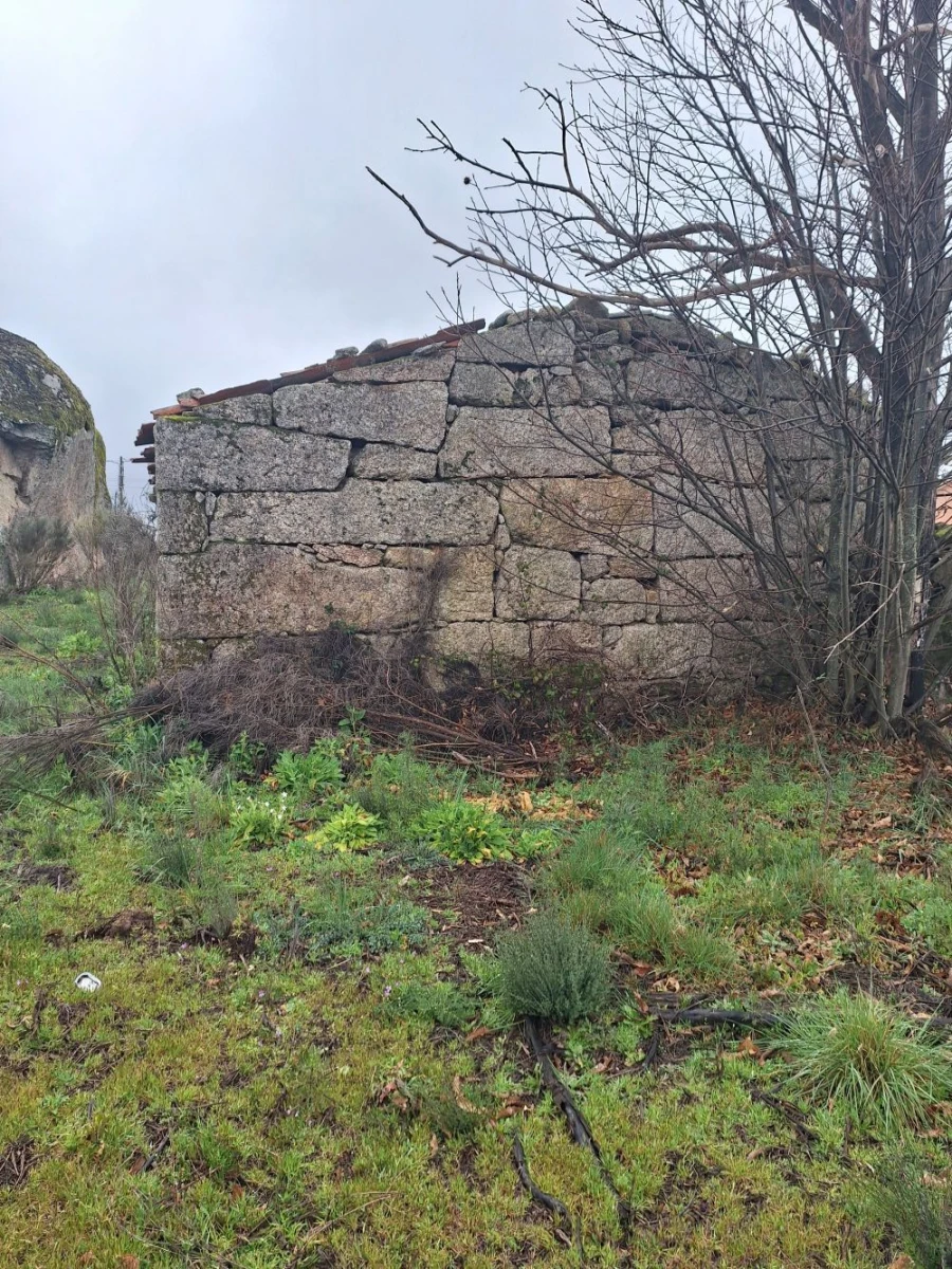 Terreno para Venda em Castanheira Foto 6