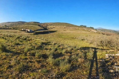 Quinta T2 para Venda em Campelo e Ovil