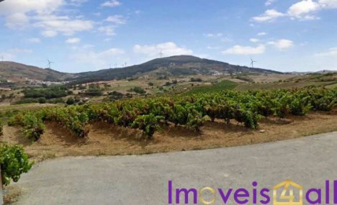 Terreno para Venda em São Pedro da Cadeira Foto 38